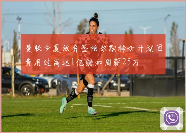 曼联今夏放弃签帕尔默转会计划因费用过高达1亿镑加周薪25万