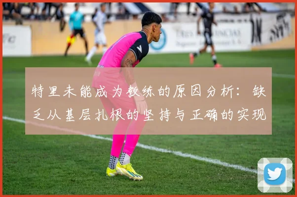 特里未能成为教练的原因分析：缺乏从基层扎根的坚持与正确的实现方式