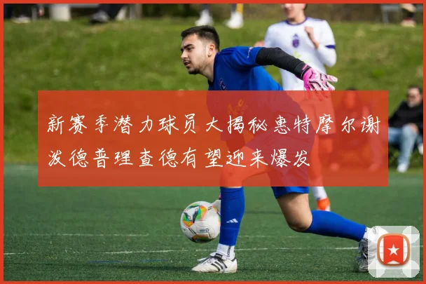 新赛季潜力球员大揭秘惠特摩尔谢泼德普理查德有望迎来爆发