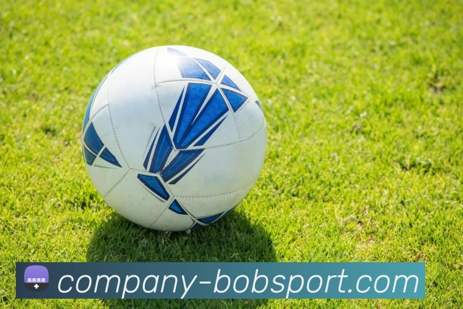 BOB体育APP 封面图